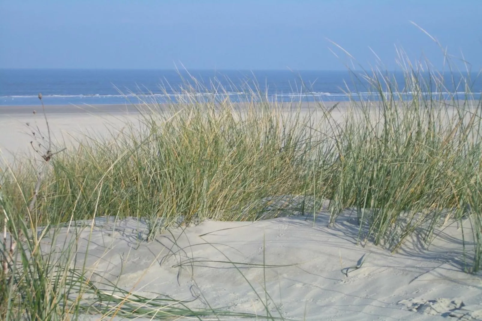 249875-Gebieden zomer 5km