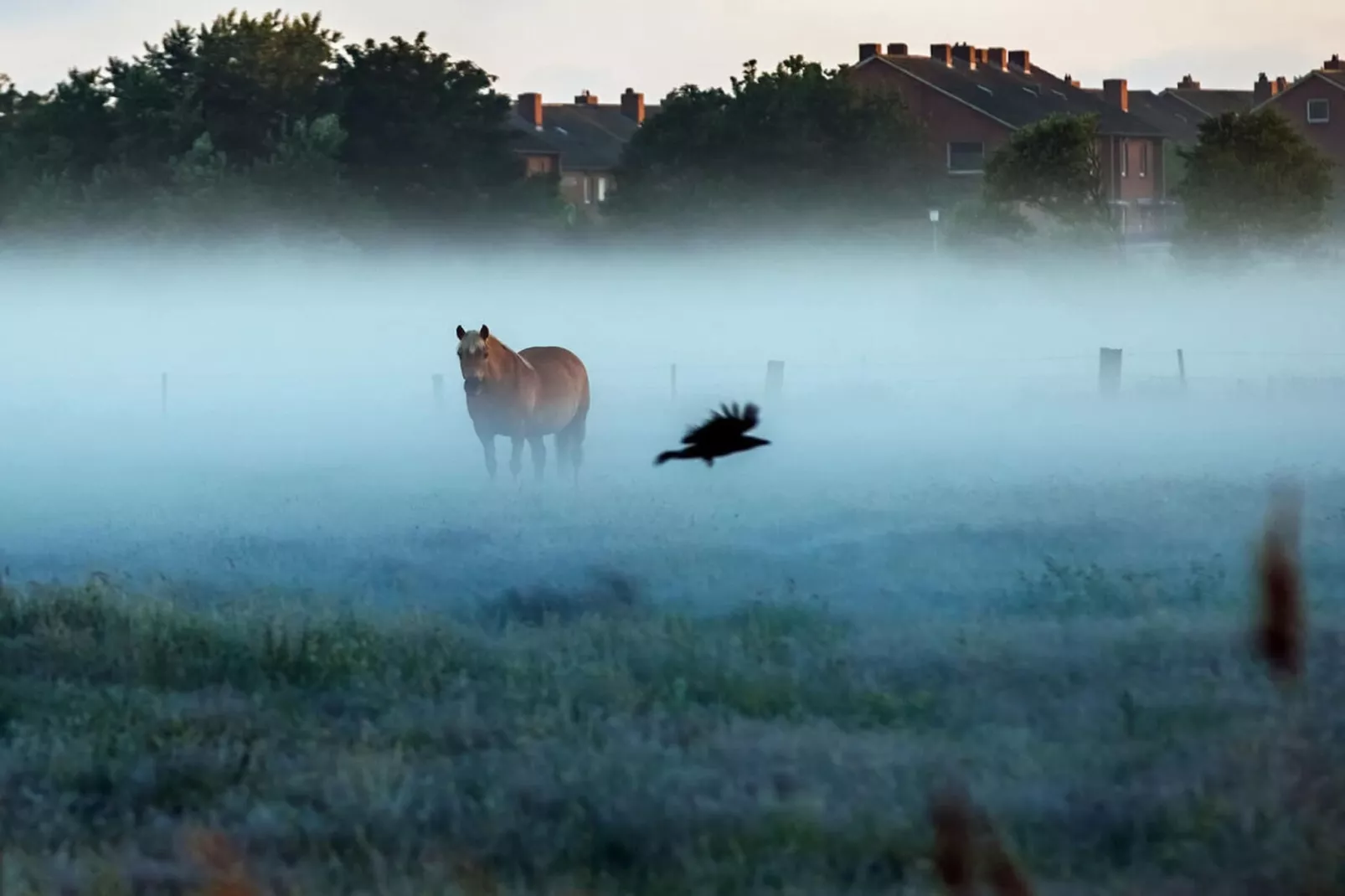 21220-Gebieden zomer 5km