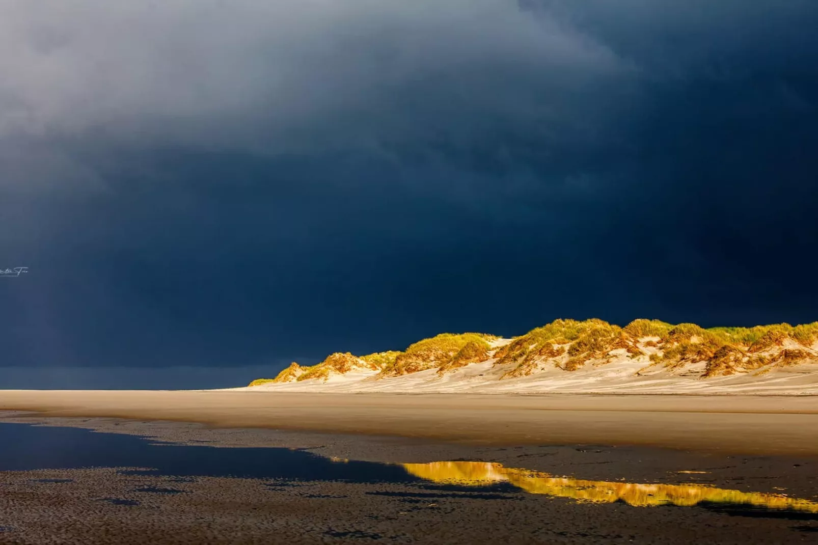 67705-Gebieden zomer 5km