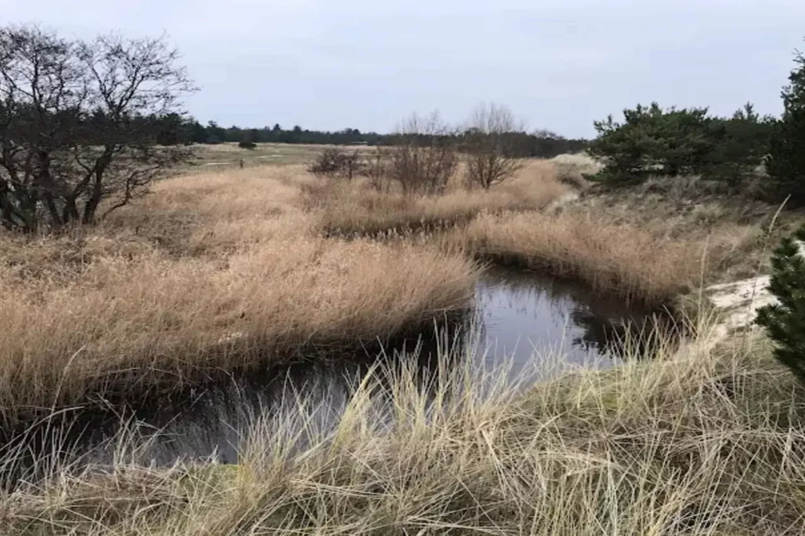 5 persoons vakantie huis in Ålbæk-By Traum - Waterzicht