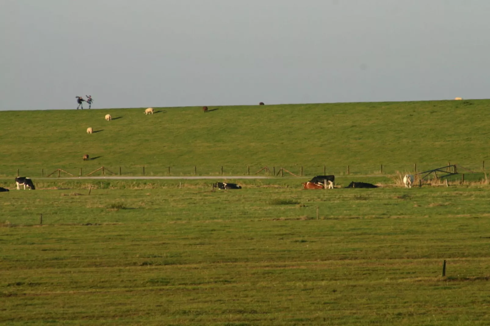 191412-Gebieden zomer 5km