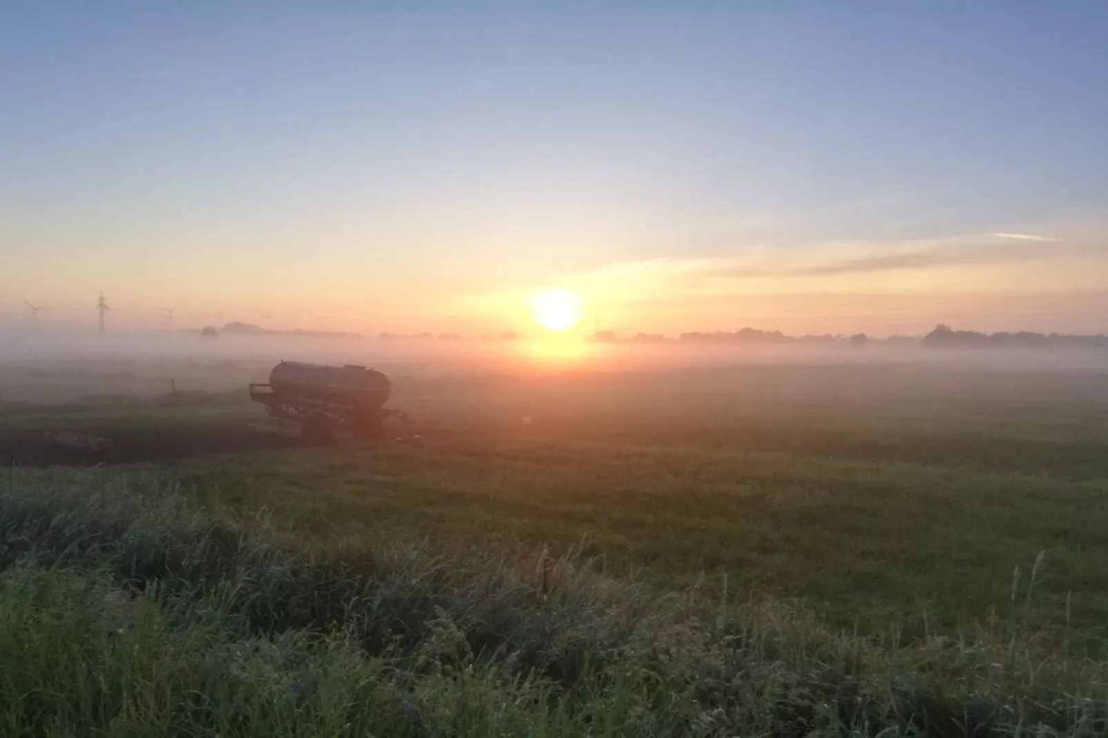 271353 - Tuinen zomer