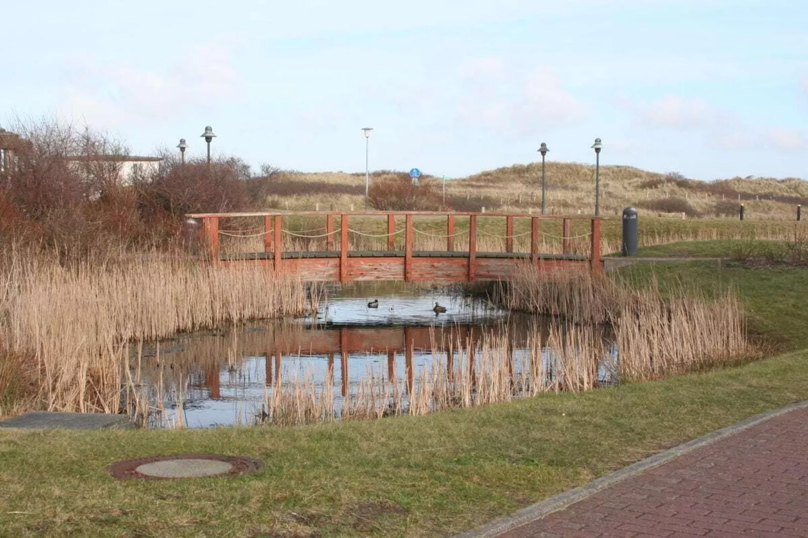 33324-Gebieden zomer 5km