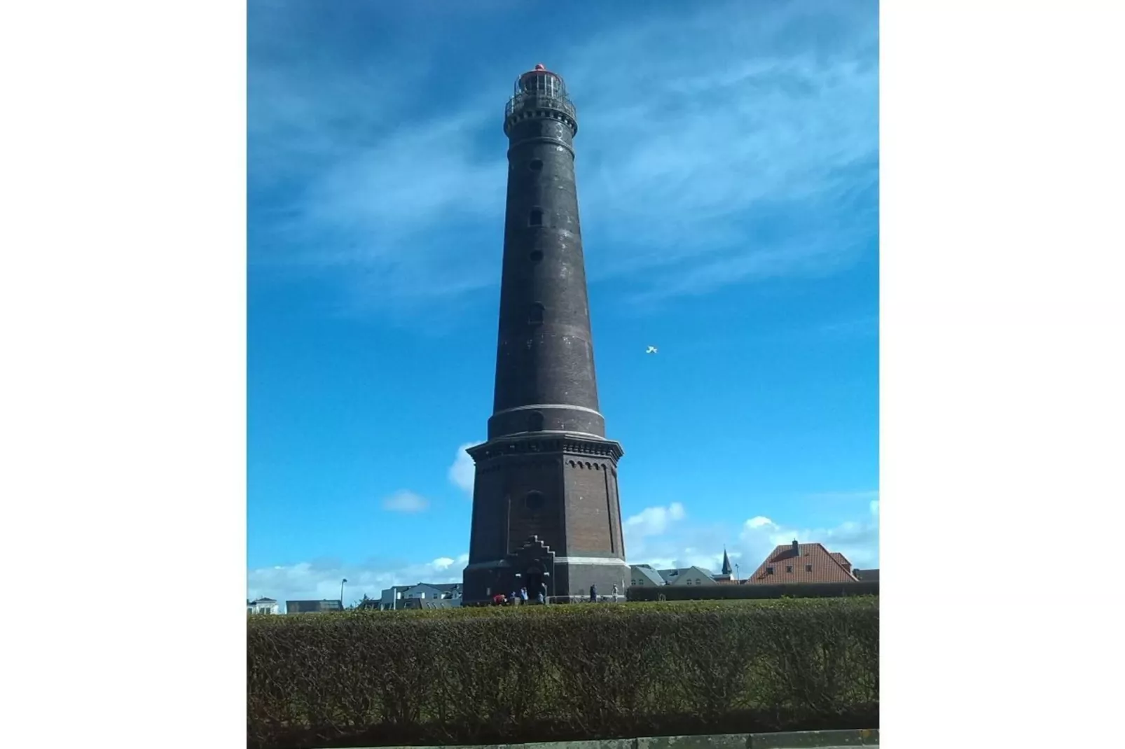 124191-Gebieden zomer 1km