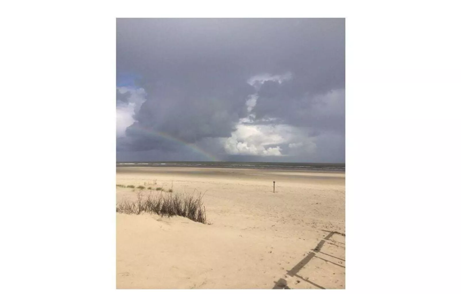 258163-Image-tags.water view