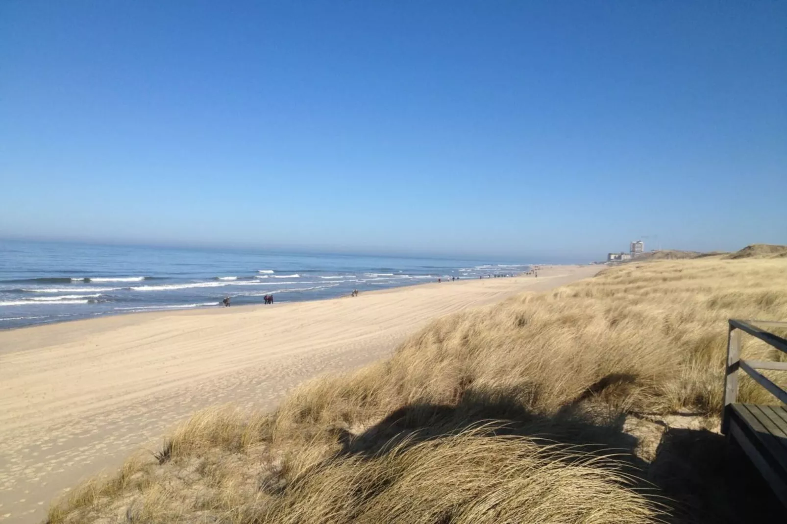 53102 - Gebieden zomer 5km
