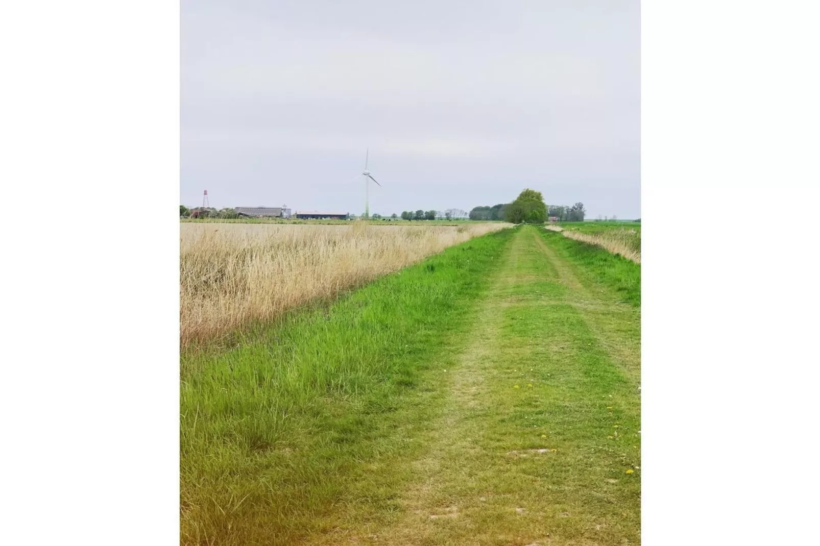 535474 - Gebieden zomer 5km