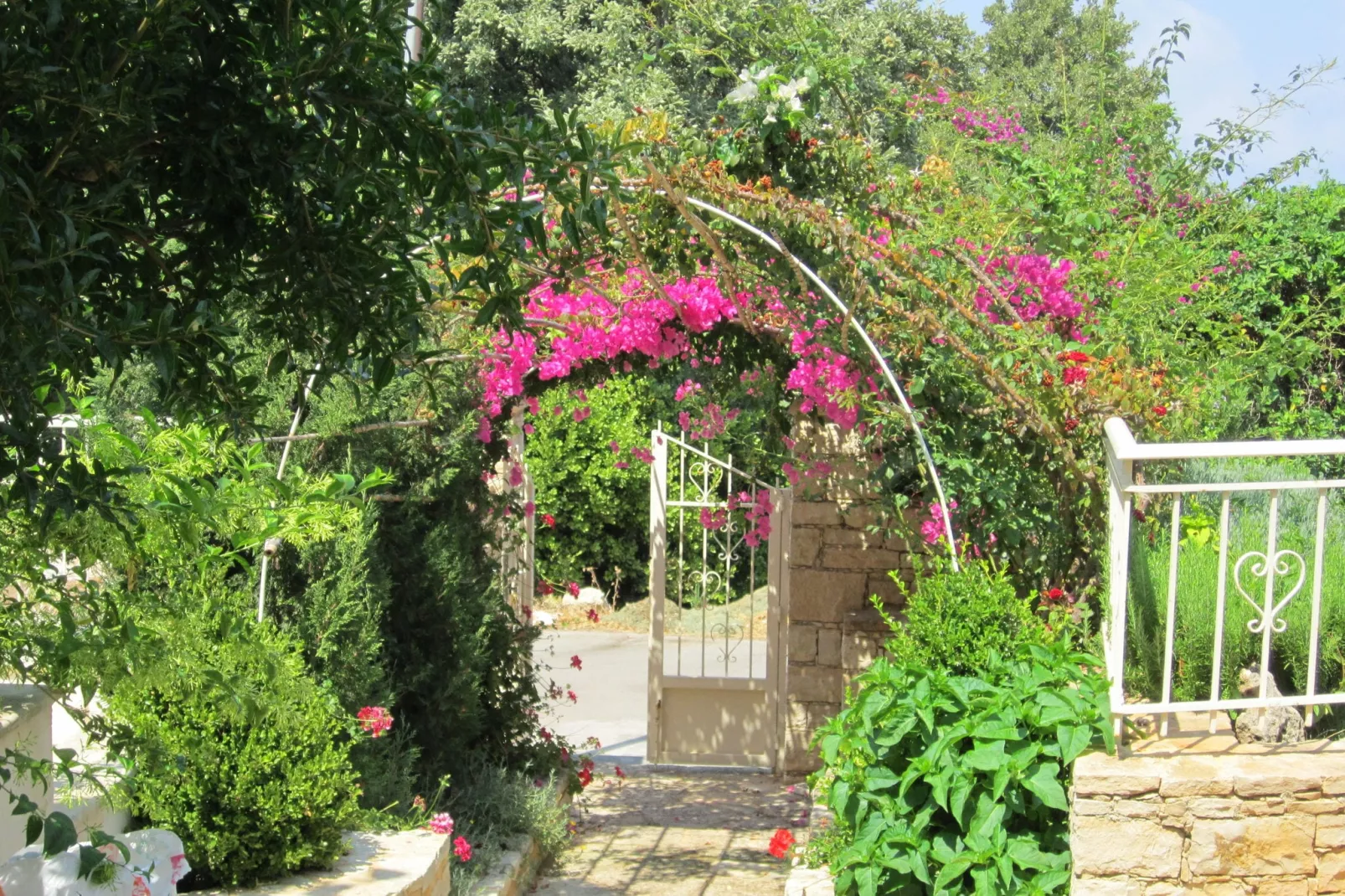 Villa Almond-Tuinen zomer