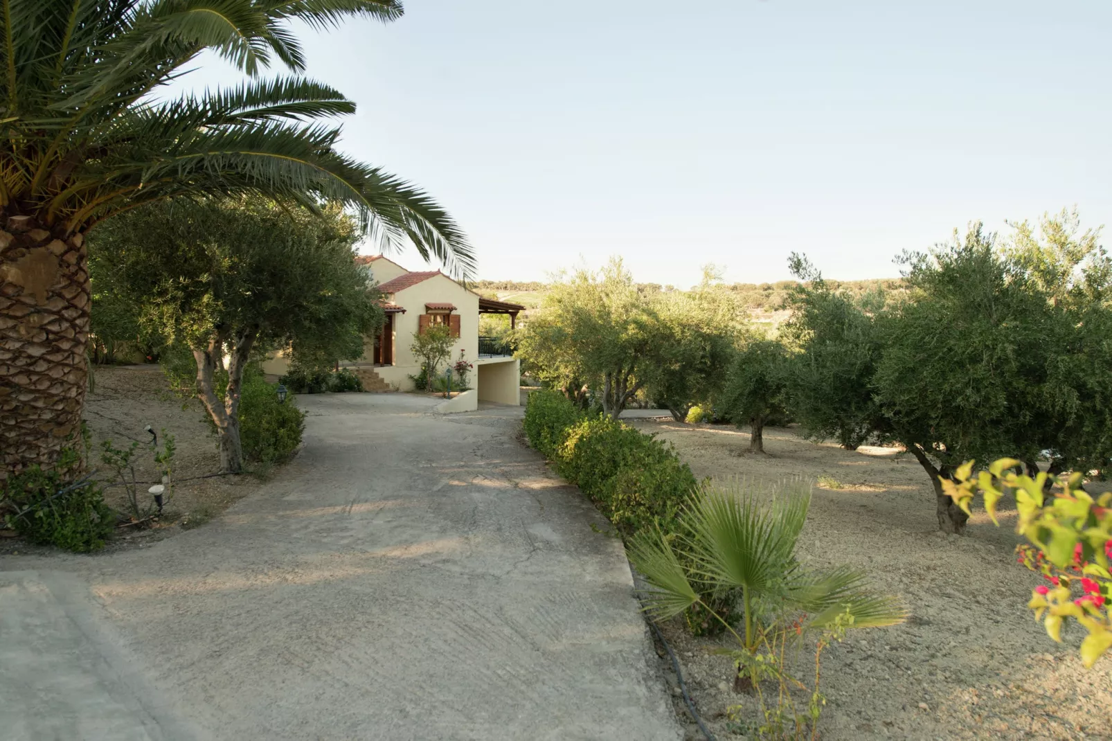 Villa Eleni en Manolis-Buitenkant zomer