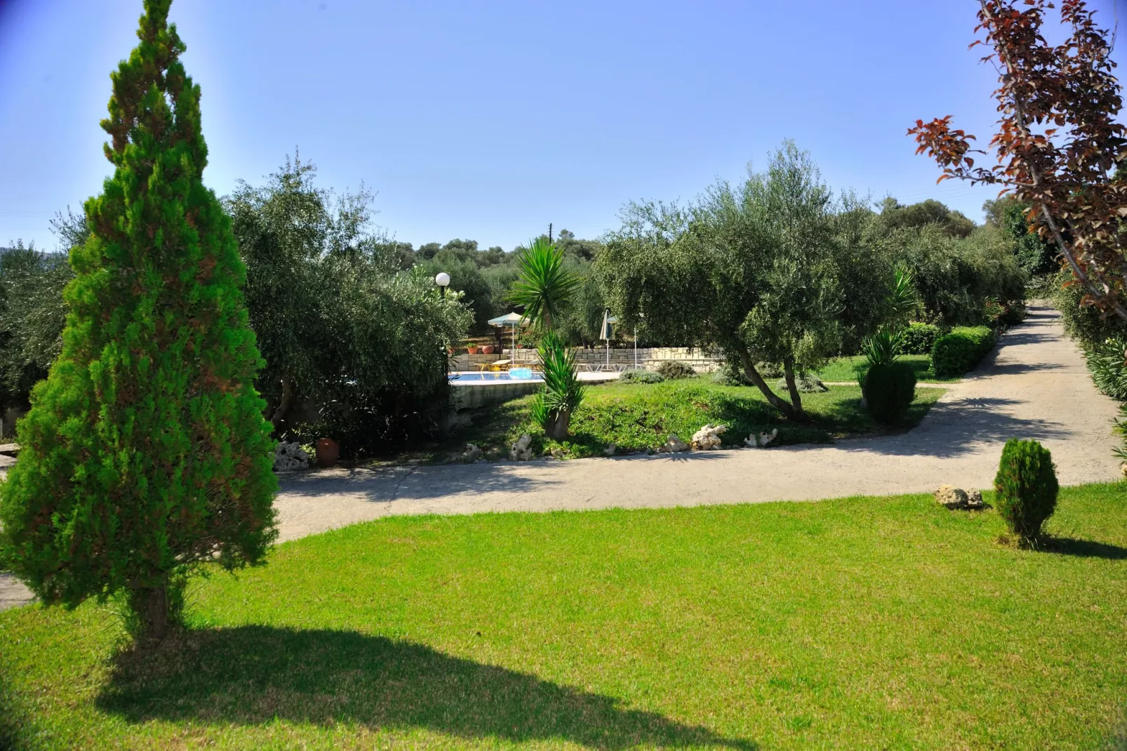 Villa Eleni en Manolis-Tuinen zomer