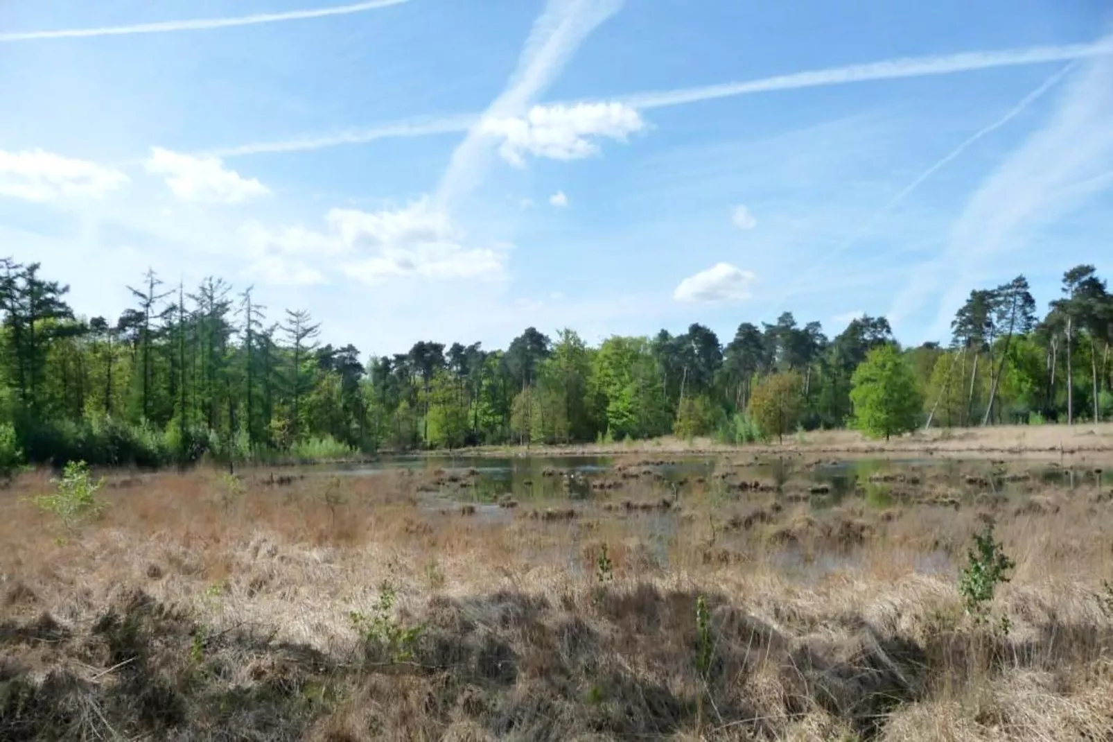 Beach Lodges-Gebieden zomer 5km