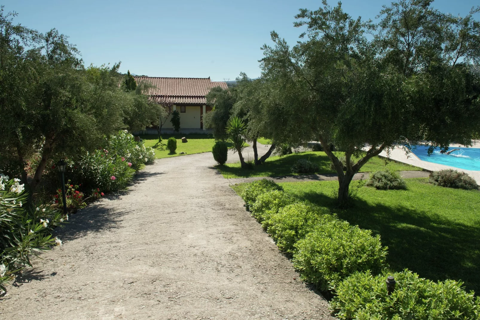 Villa Eleni en Manolis-Tuinen zomer