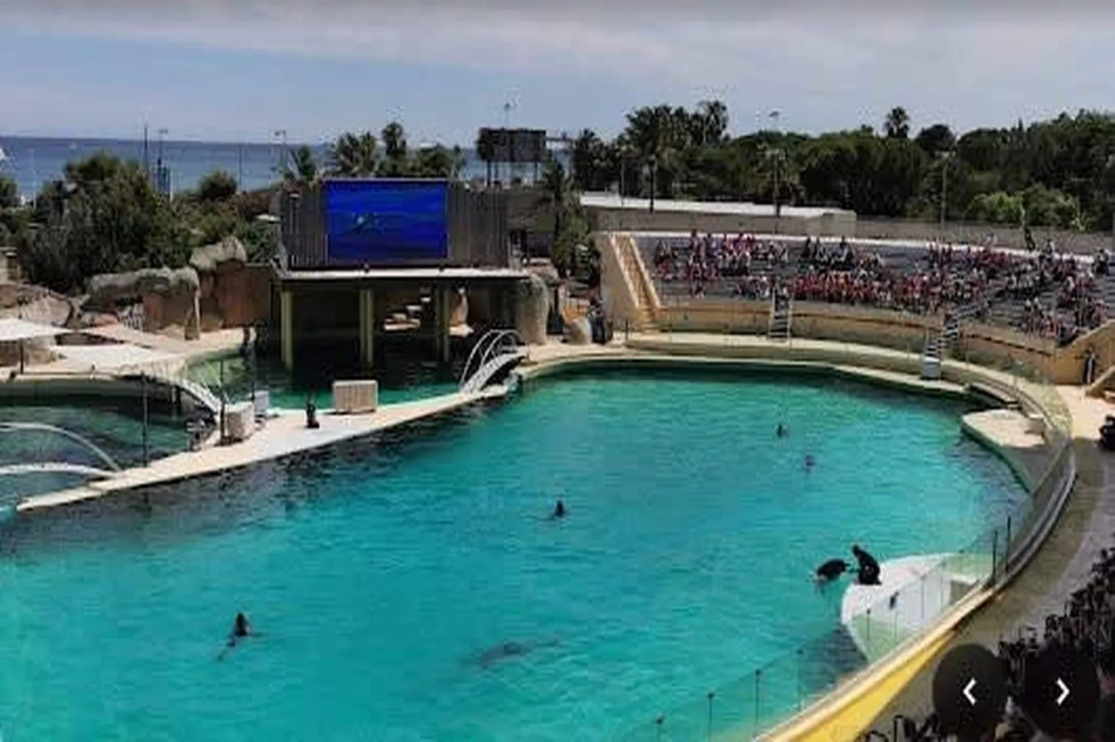 Appart près des plages plein centre confortable-Gebieden zomer 1km