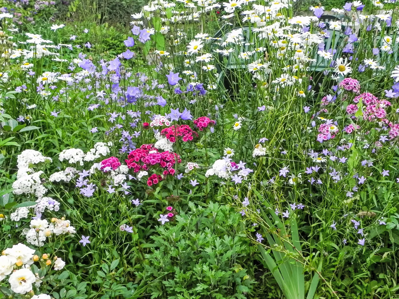 Himmelreichmühle-Buiten