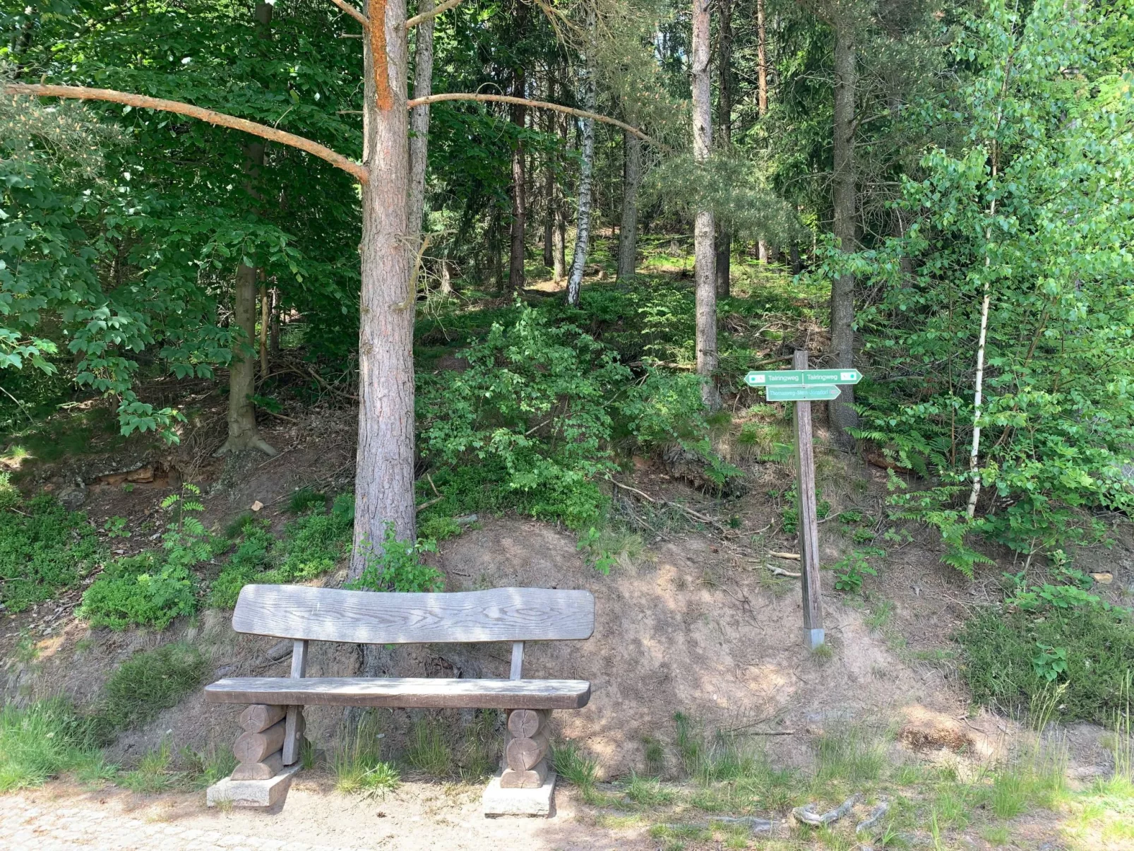 Waldferienhaus Dunja mit Sauna, Whirlpool, direkt am Waldrand, Kletterfelsen - Image-tags.info