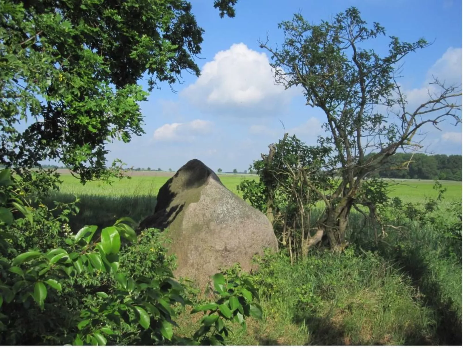 Für 2 Personen  + 2 Kinder ca. 65 m&sup2; in Mardorf, Niedersachsen (Steinhuder - Image-tags.info