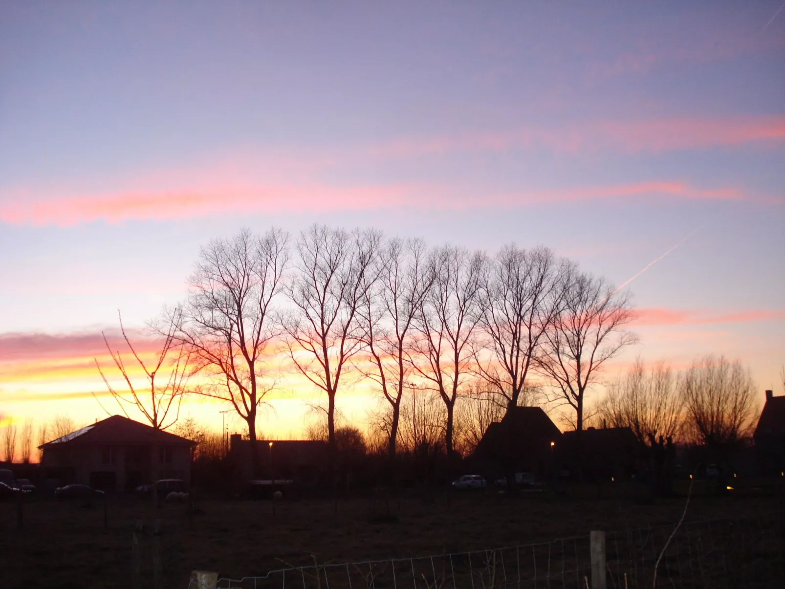 Blackthorn für 6 Personen - Image-tags.info