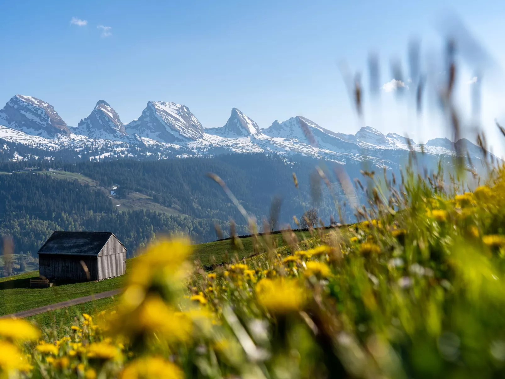 As Träumli - Image-tags.info