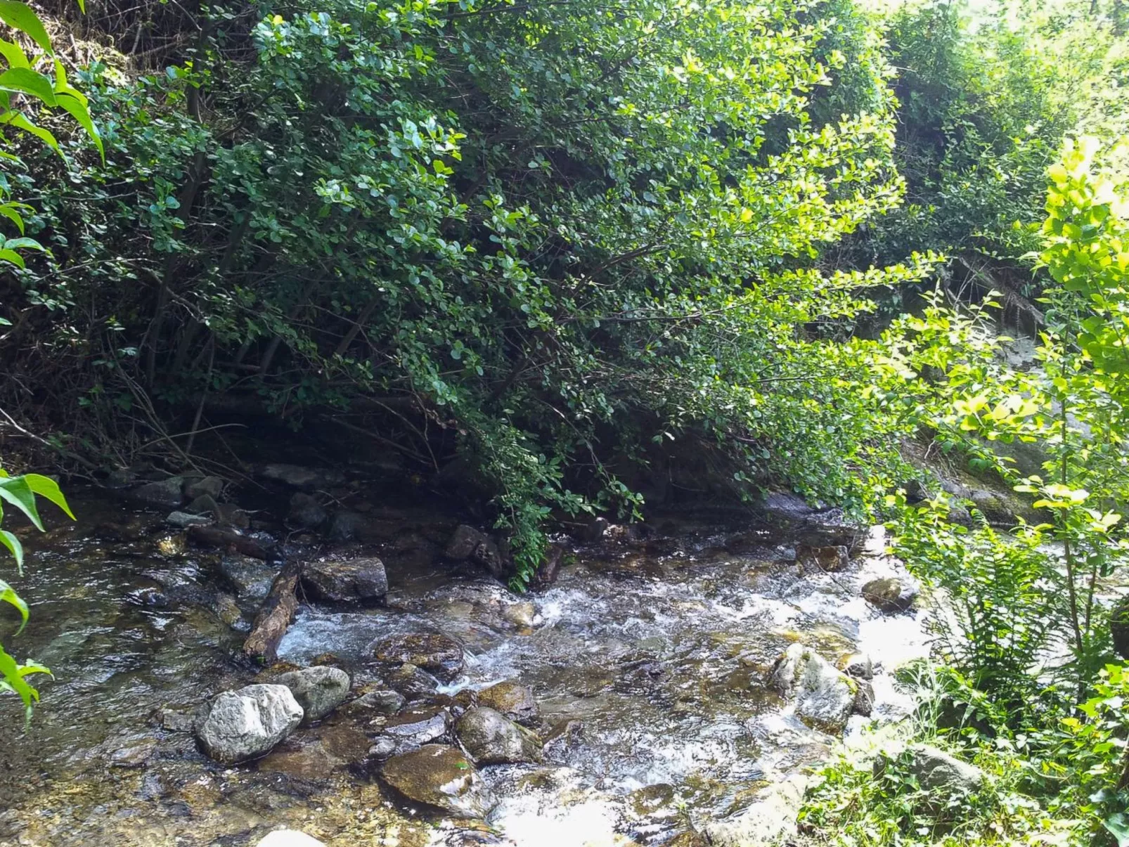 Casa Riale oben - Image-tags.info