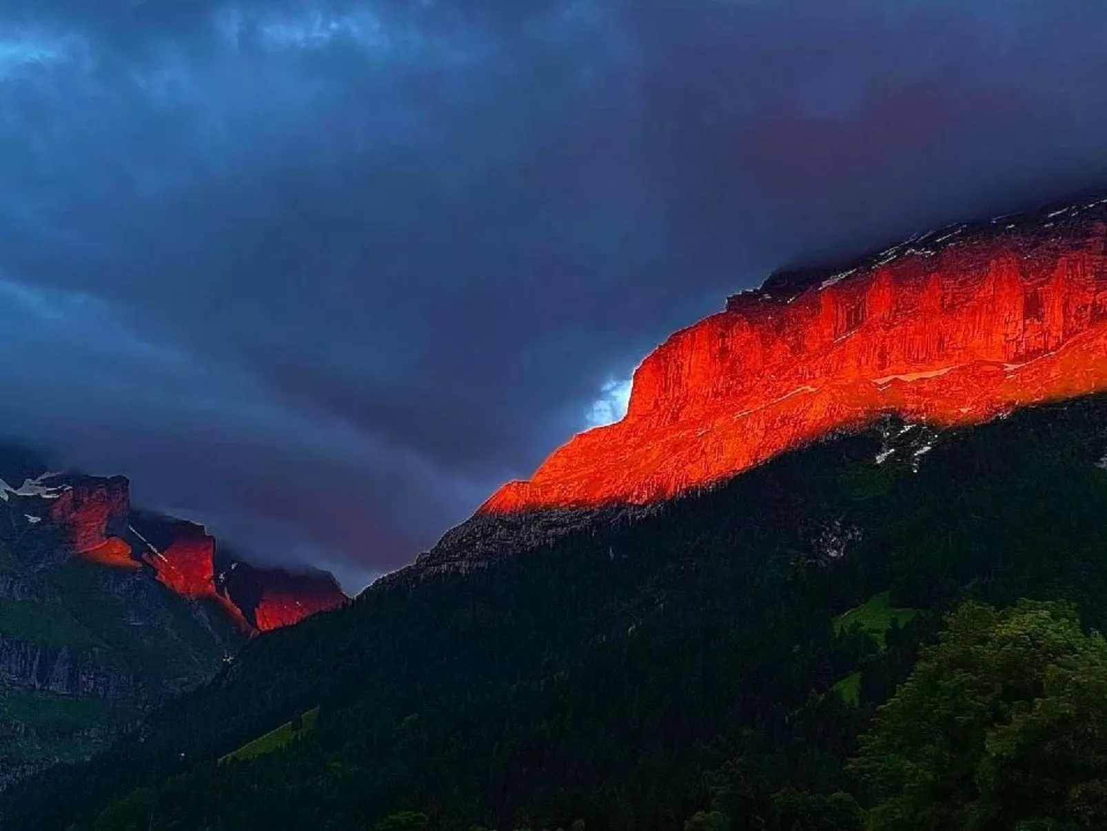 Im grünen - Image-tags.info