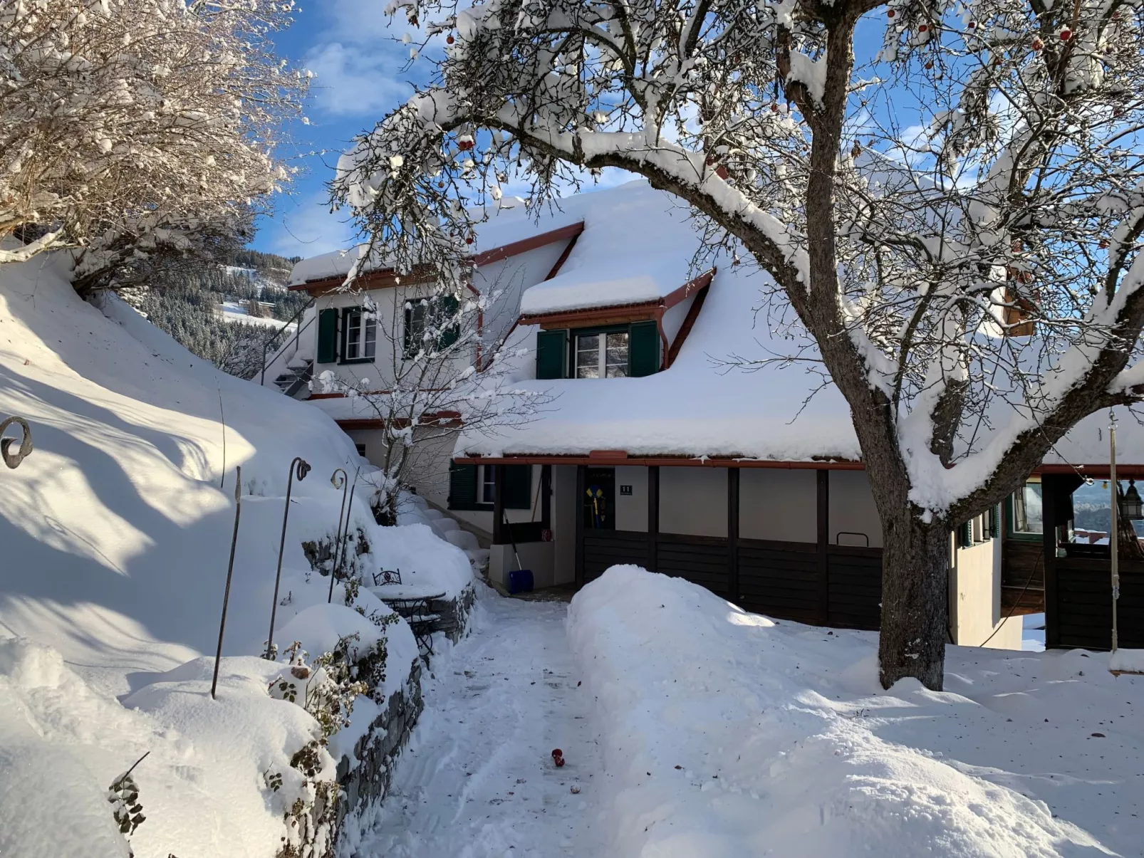 Chalet Elsa Murau - Buiten