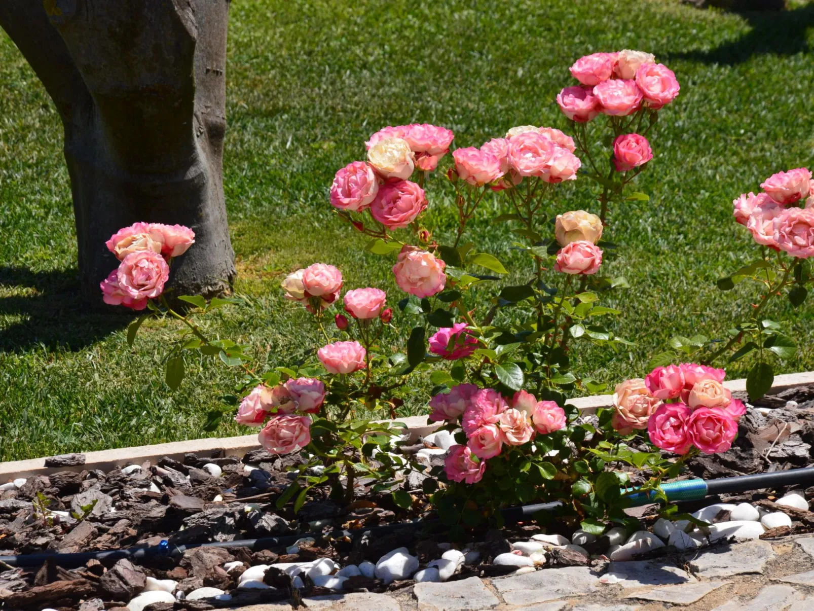 Casa da Horta-CH10, 2-Zimmer-Wohnung, Pool - Image-tags.info