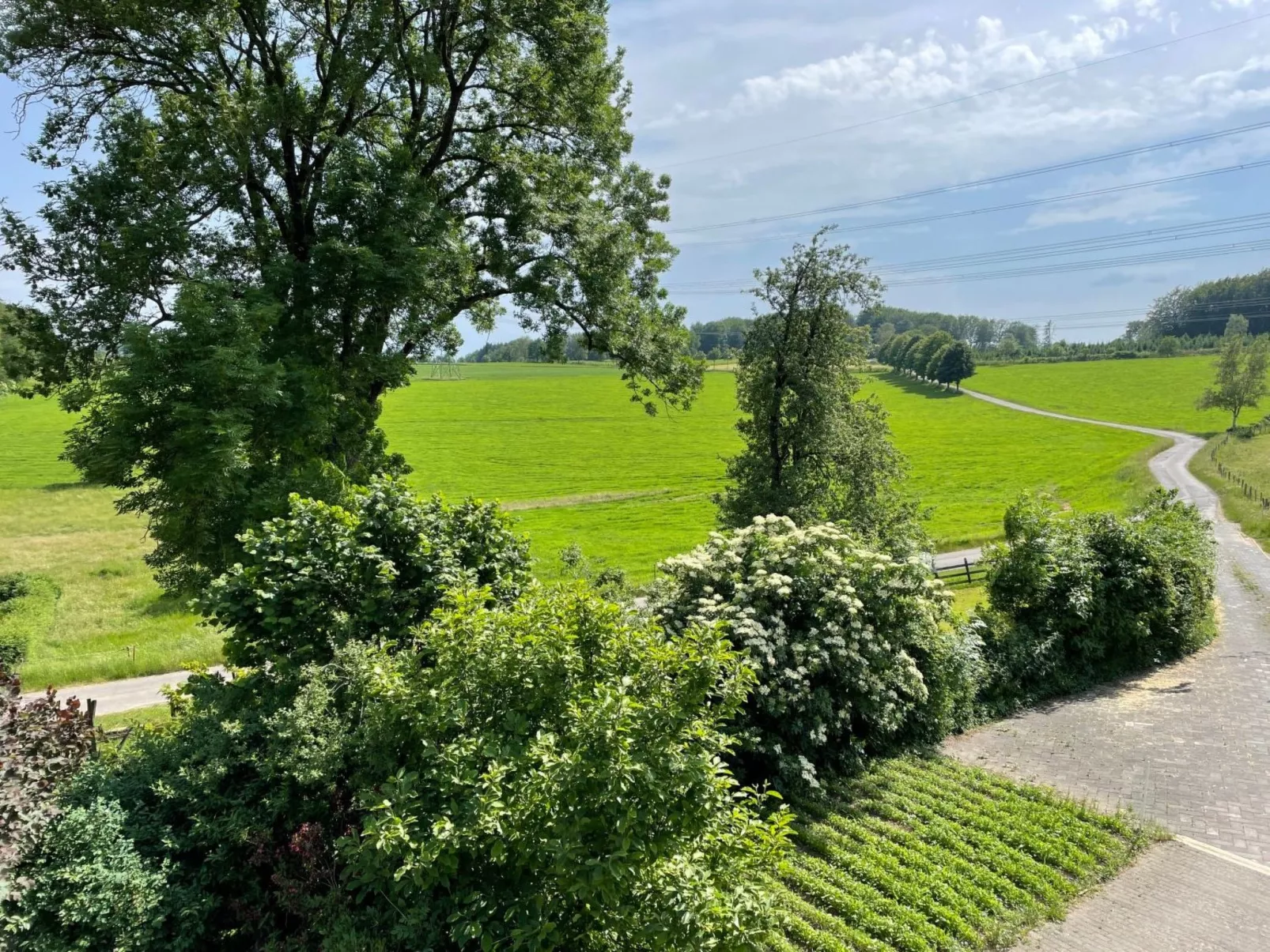 Annika-Image-tags.info