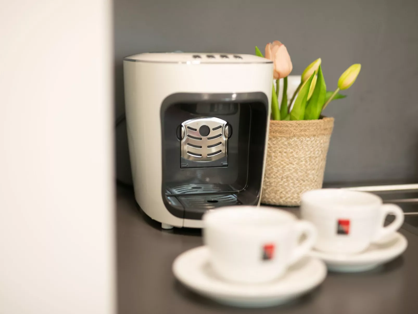 Moderne Wohnung in Kaisermühlen mit Garten und Panoramablick - Image-tags.info