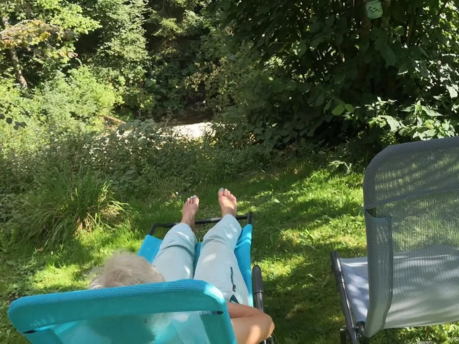 Karotte - Image-tags.info