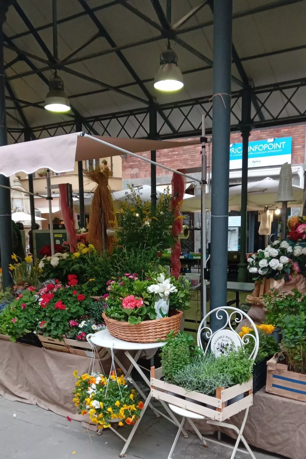 Seestern - Image-tags.info