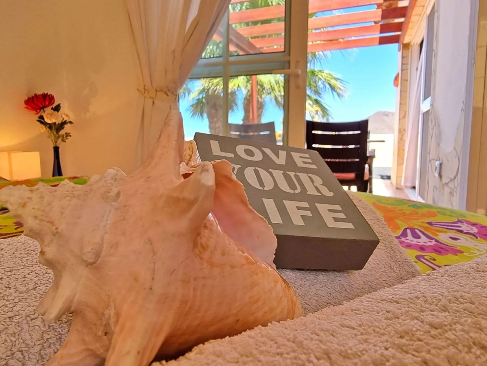 Casa Oasis - Image-tags.info