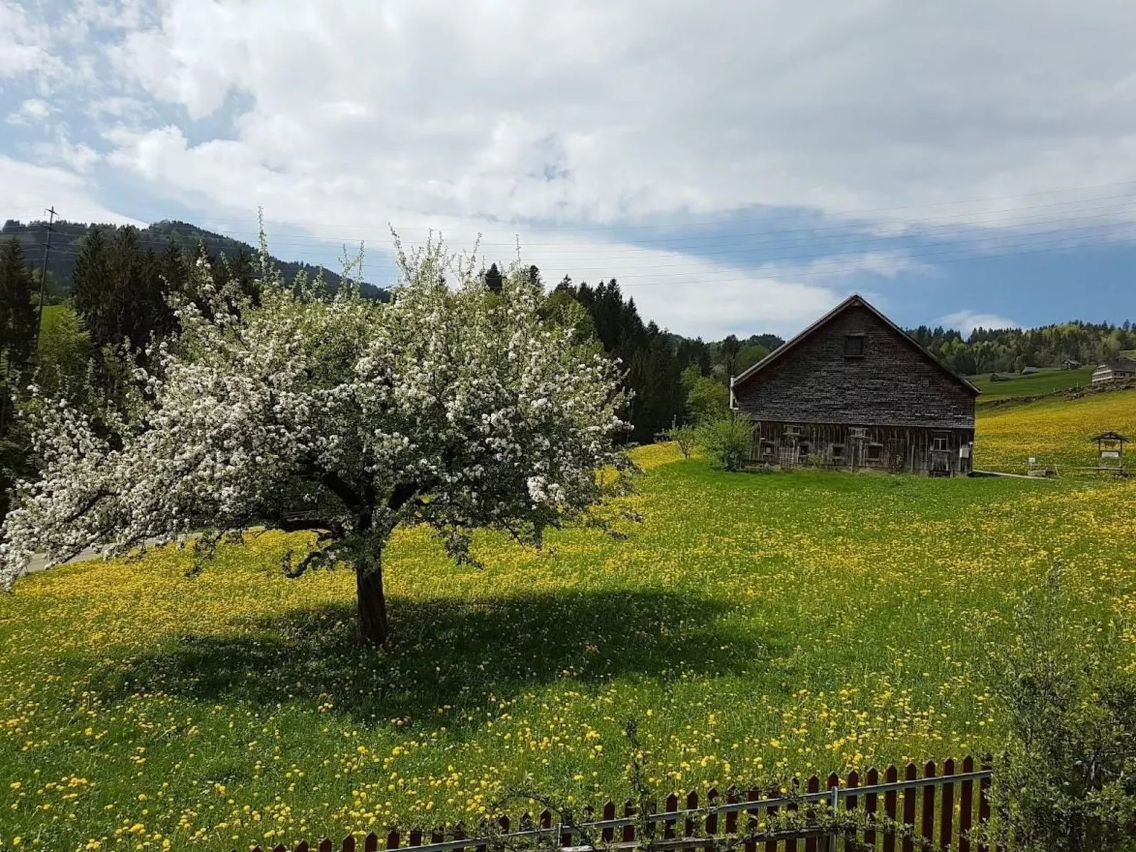 Gemütliche und geräumige Ferienwohnung - Buiten