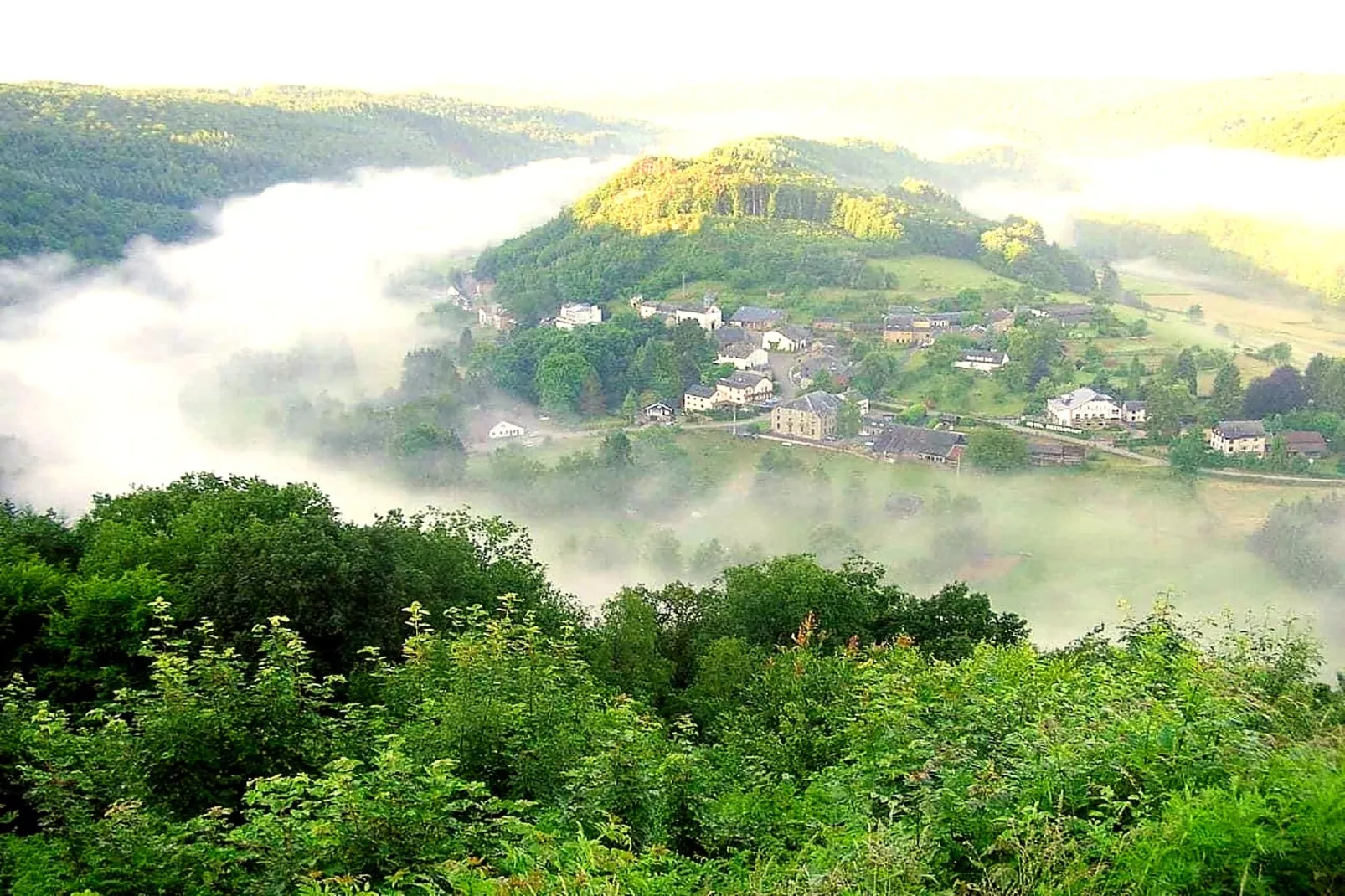 Hondvriendelijke woning met jacuzzi
