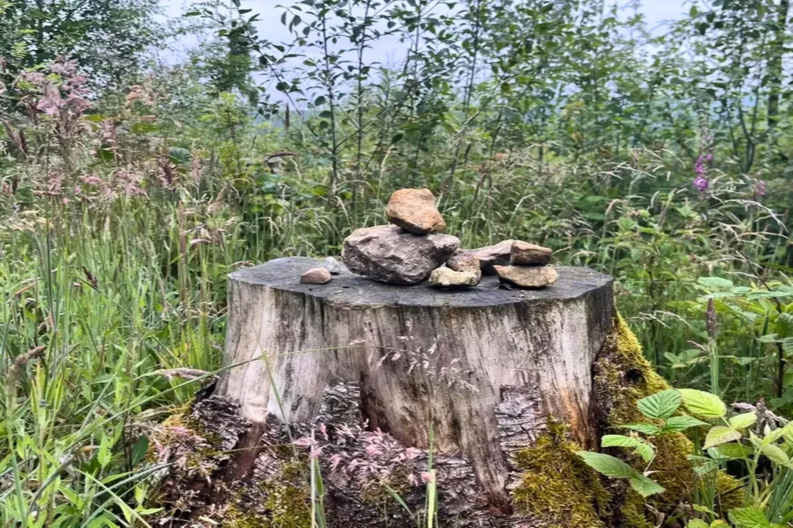 Ferienhaus in Steinheim-Gebieden zomer 1km