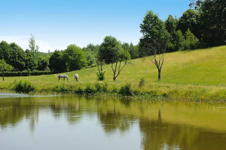 Apartments Rekowo 30 qm-Waterzicht