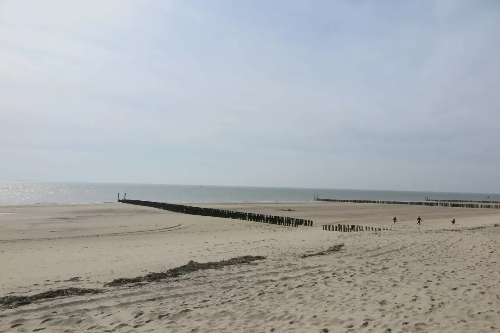 Slaapstrandhuisje - Strand dishoek 60 - Uitzicht zomer
