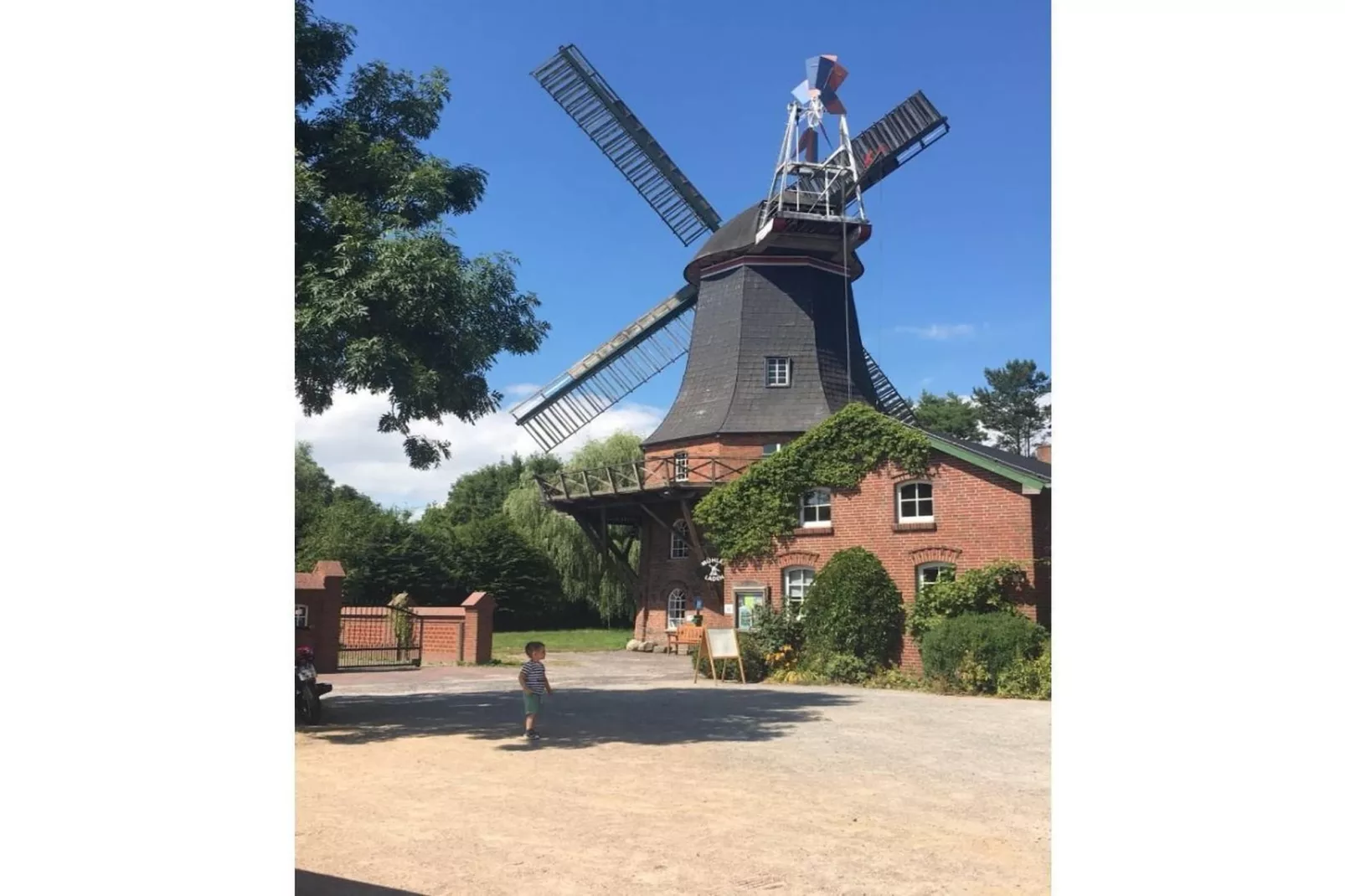 242843-Gebieden zomer 5km