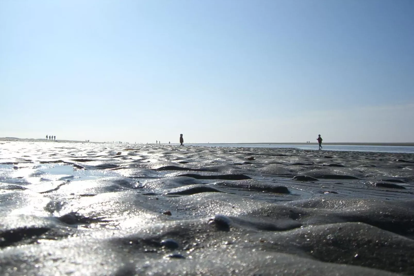249875-Gebieden zomer 5km