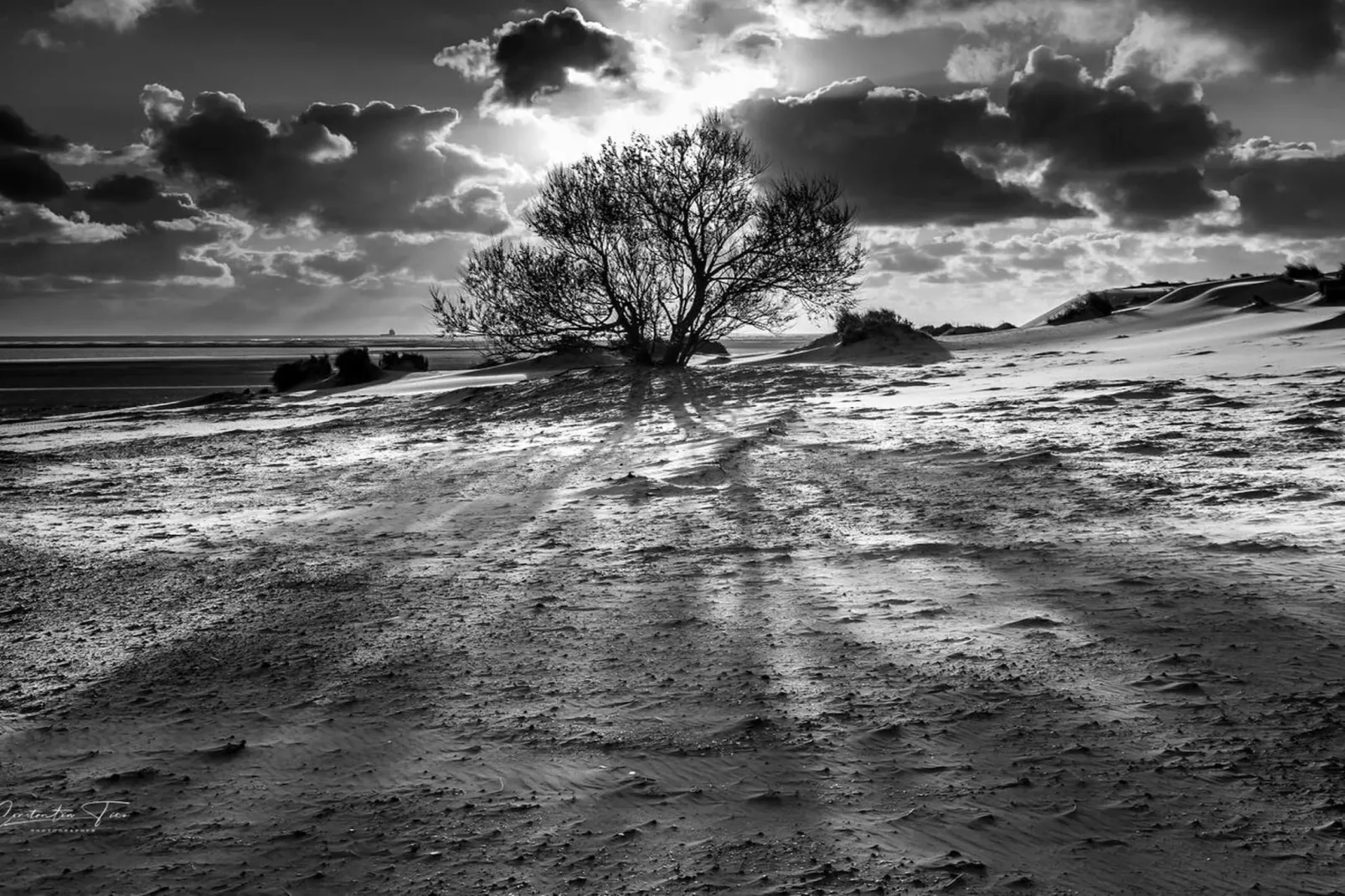 21220-Gebieden zomer 5km