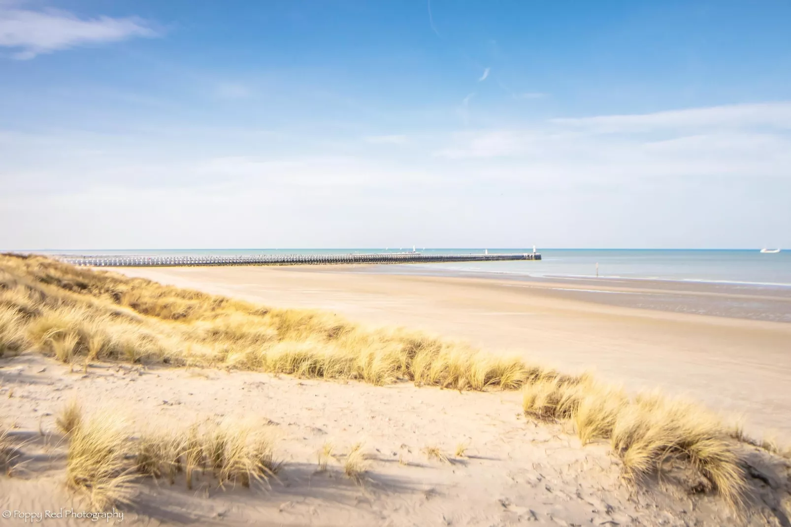 CASINO C-Gebieden zomer 5km