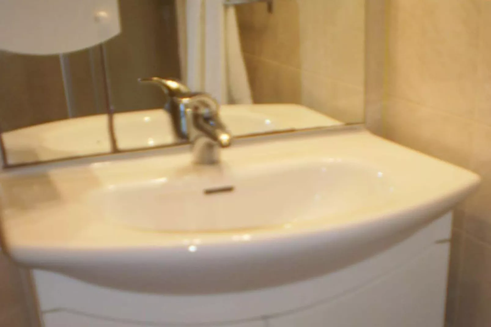 Licul Modern retreat-Badkamer