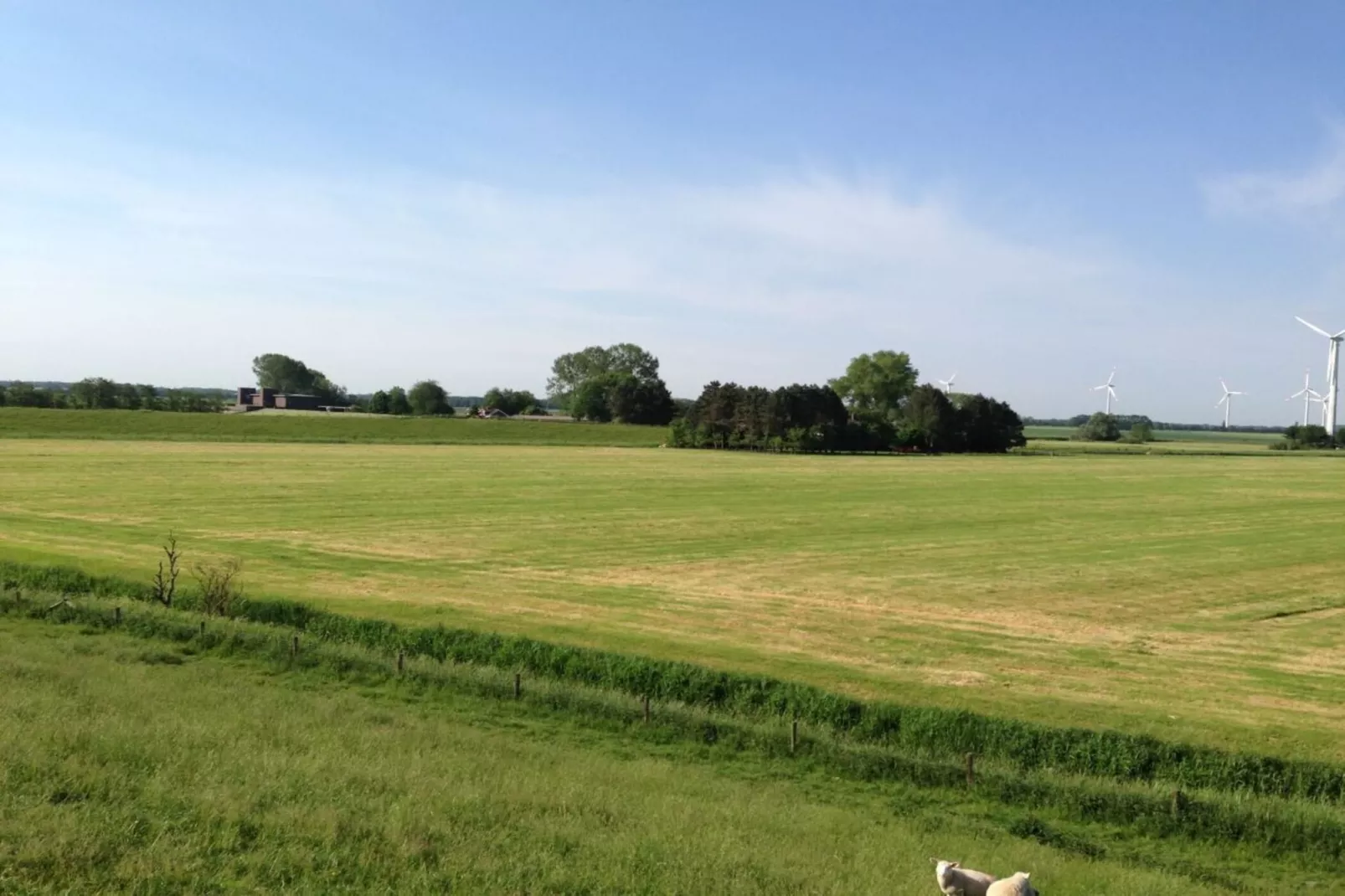191412-Gebieden zomer 5km