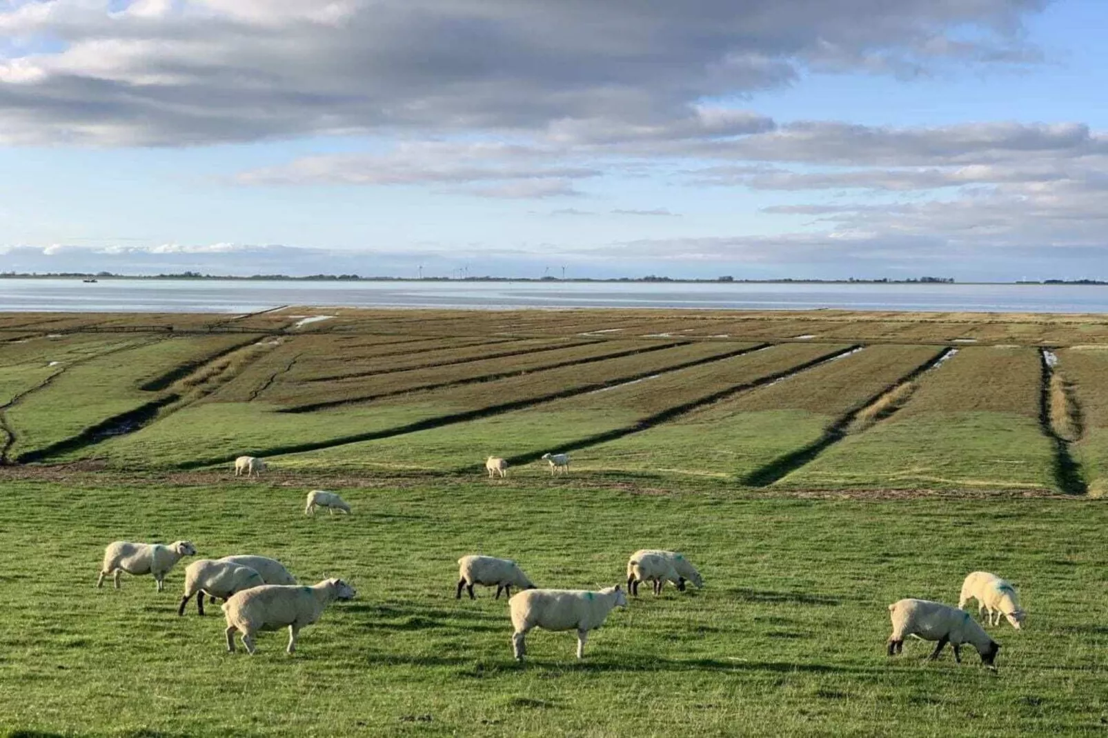 386347-Gebieden zomer 5km