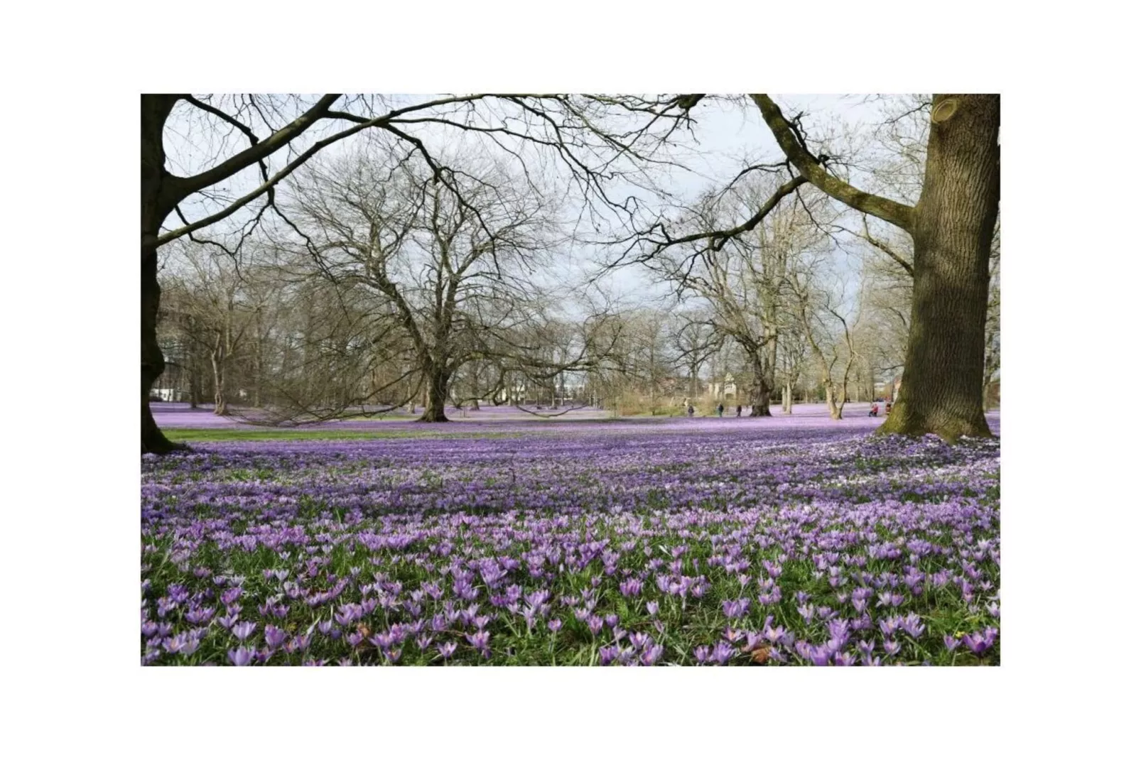487221-Gebieden zomer 5km