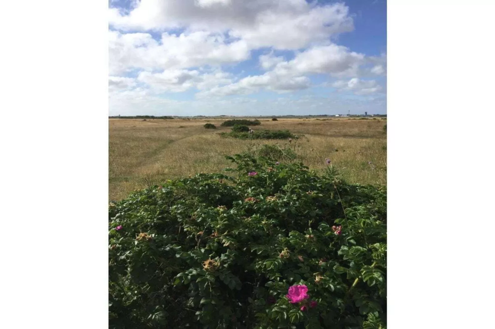 63510-Gebieden zomer 5km