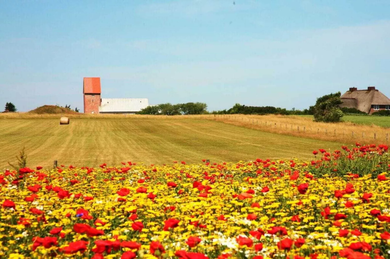 284435-Gebieden zomer 5km