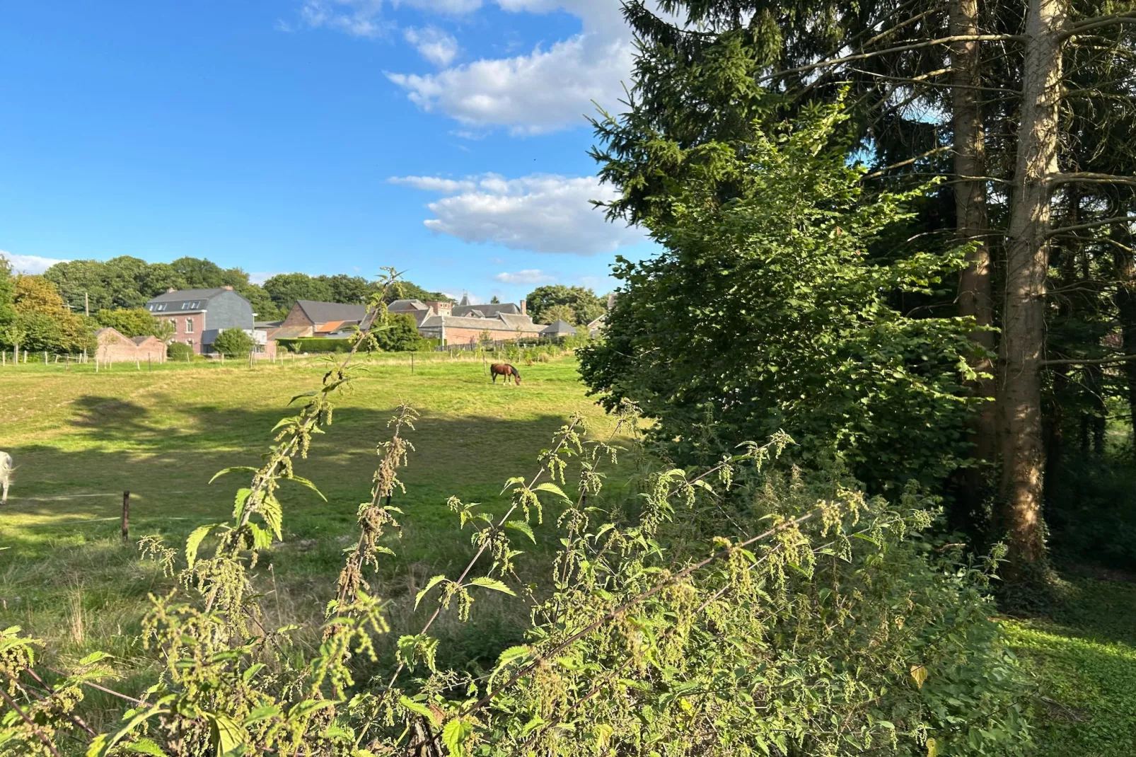 L'Ecureuil Blanc-Tuinen zomer