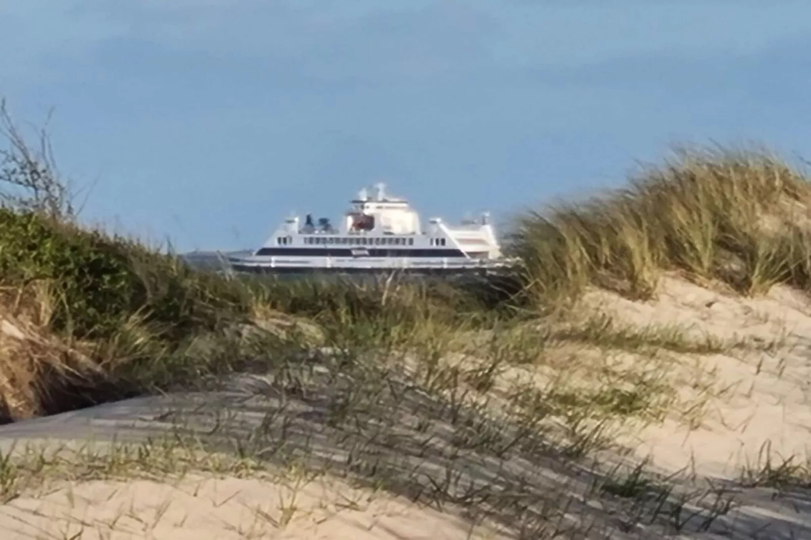 344550 - Tuinen zomer