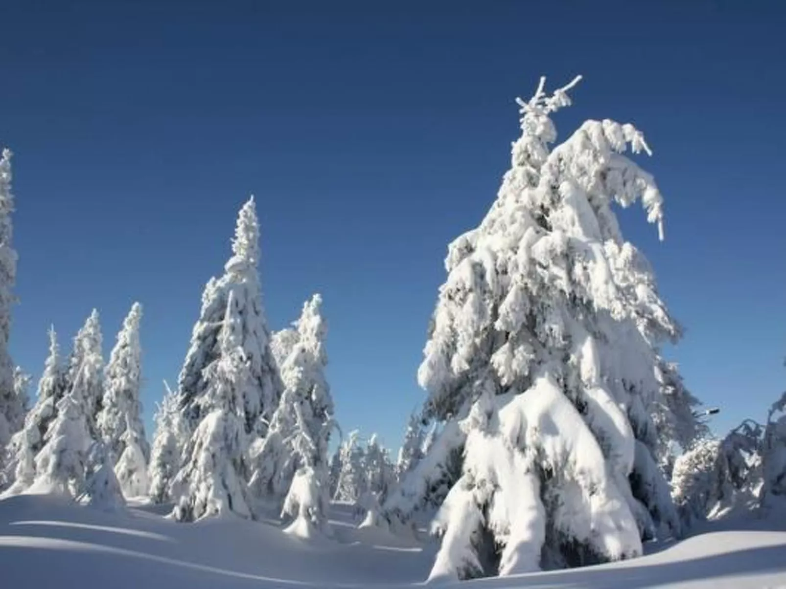 Fewo Bergkristall-Image-tags.info