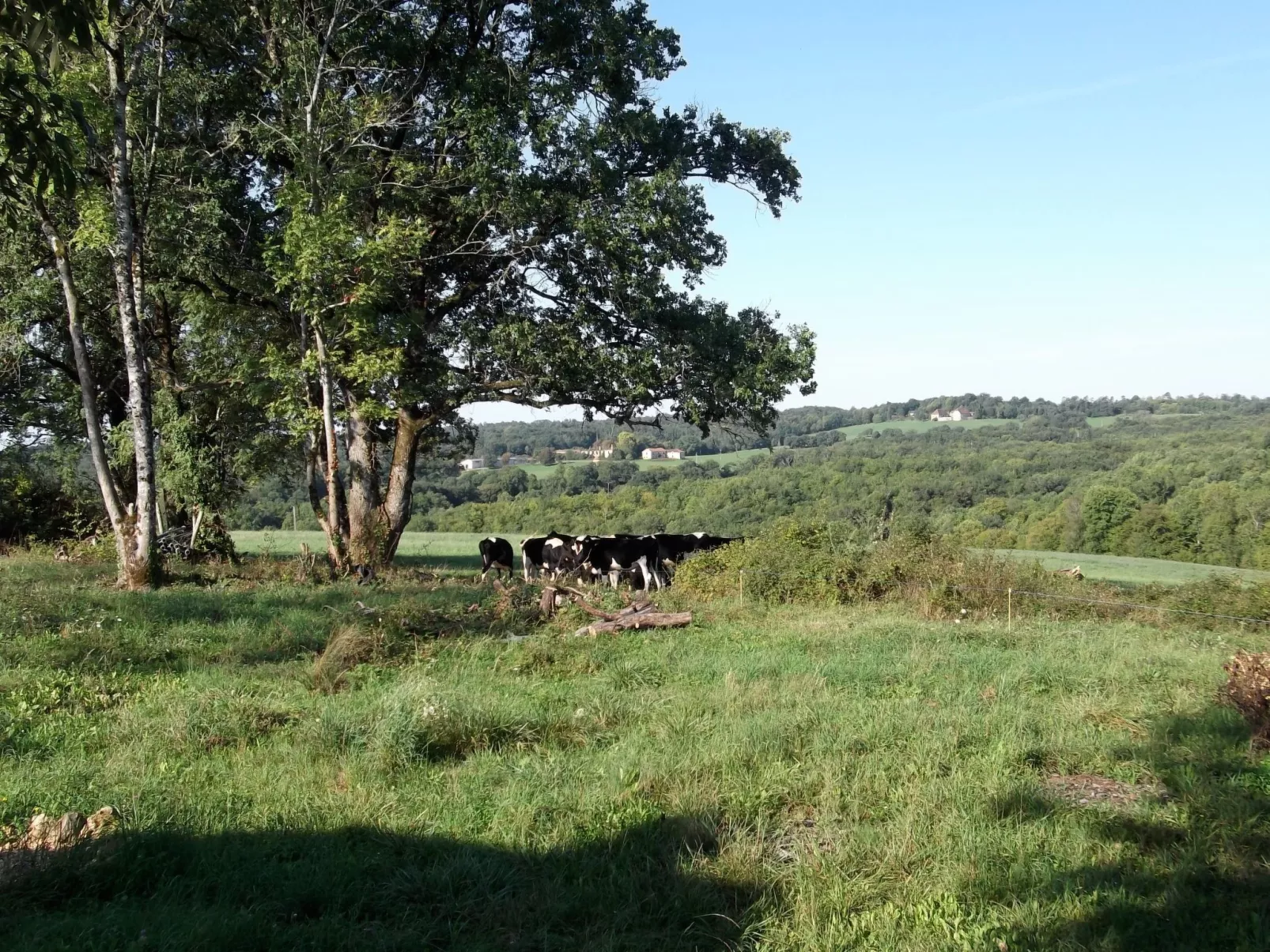 Das Kleine Haus-Buiten
